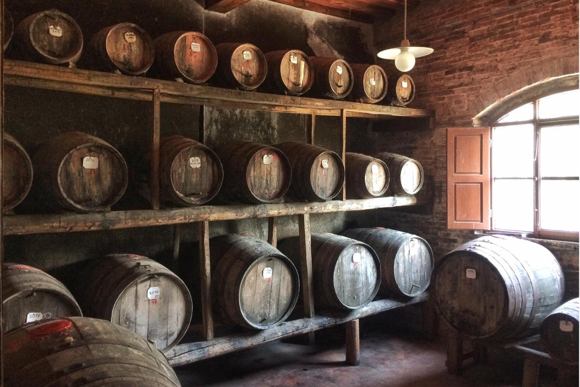 Agriturismo Fattoria Santa Vittoria Pozzo  エクステリア 写真